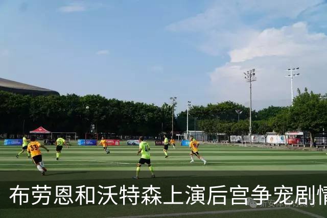 布劳恩和沃特森上演后宫争宠剧情，他俩到底谁值2500万？